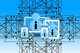 米兰官方网站-NBA联盟裁判执法技术辅助研究,nba职业篮球裁判证